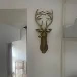 Cool Barn Conversion